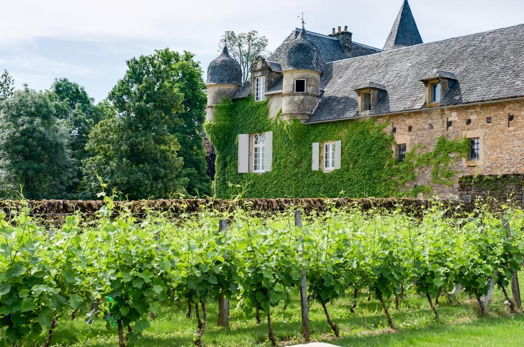 Chateau De Labro - Teritoria Onet-le-Château Zewnętrze zdjęcie
